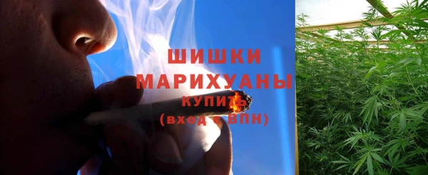 дмт Пестово