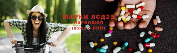 молекула духа Арсеньев