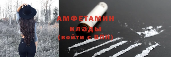 твердый Пересвет