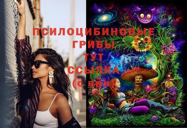 дмт Пестово