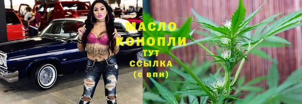 молекула духа Арсеньев