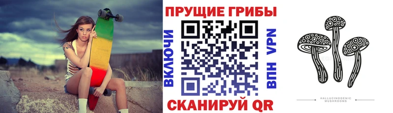 Псилоцибиновые грибы мицелий  Бакал 
